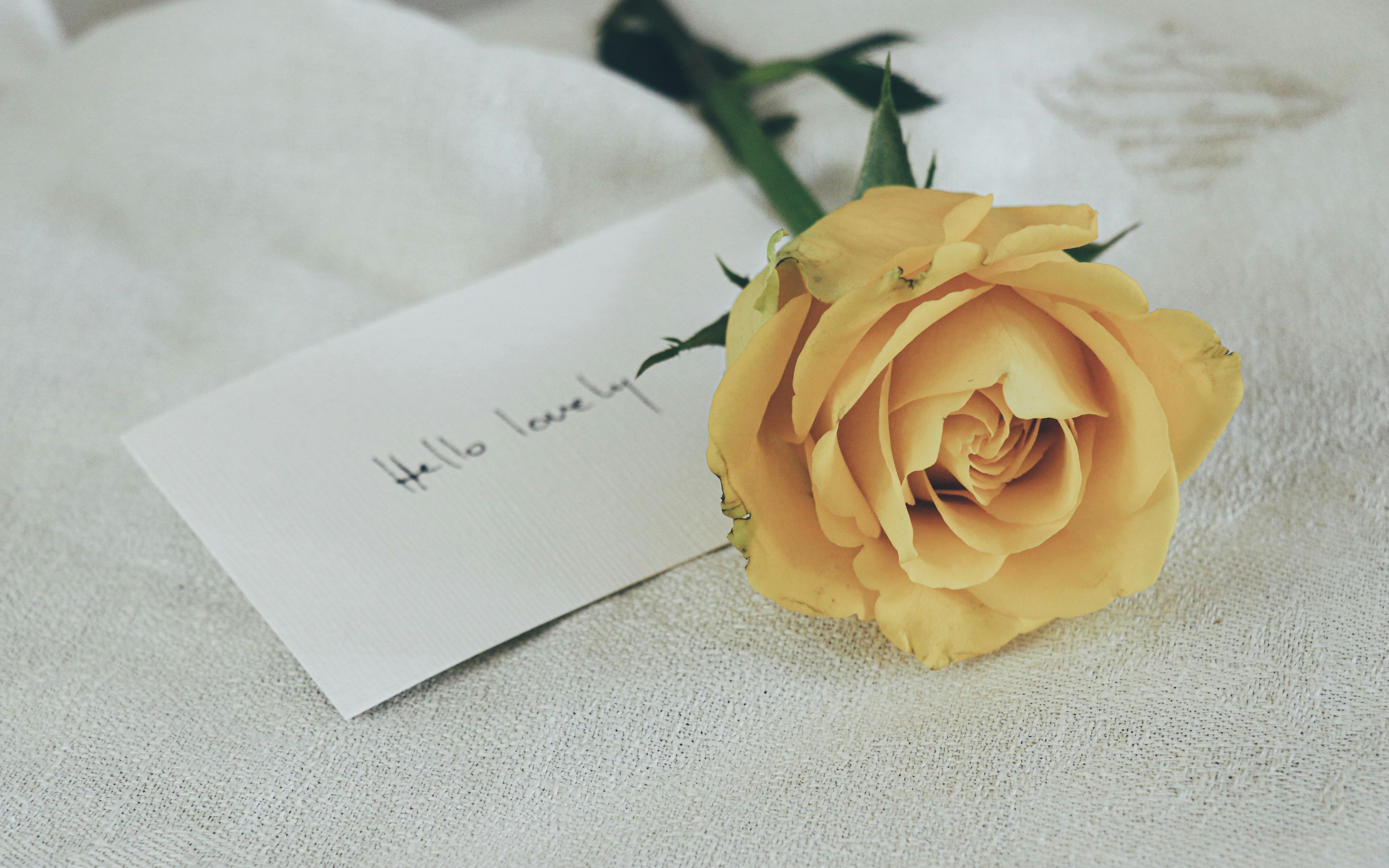 Yellow rose with a handwritten note